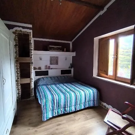 Apartment Grace House *